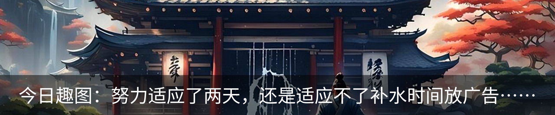 新闻动态