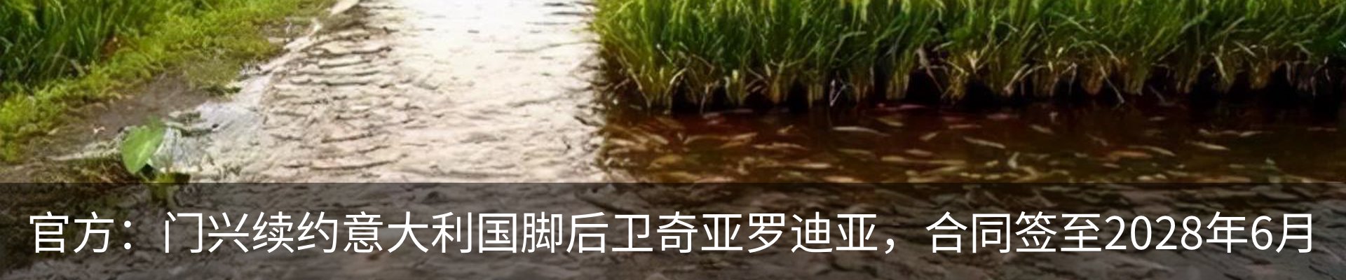 新闻动态